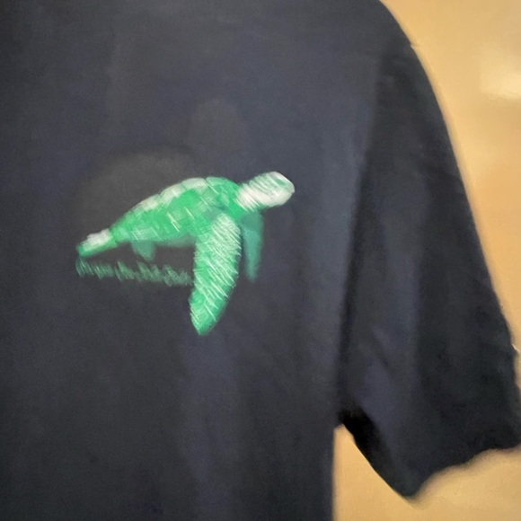 Turtle - Picture 3 of 6